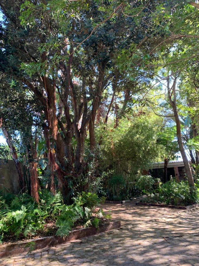 The Secret Garden Hideaway Lejlighed Mossel Bay Eksteriør billede